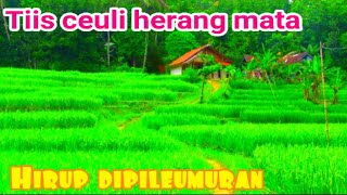 KAMPUNG SUNDA BIKIN BETAH JAUH DARI KEBISINGAN KOTA.