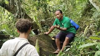 pemandu wisata batu katak sedang menerangkan tentang bunga (AMOR PHOPHALLUS TITANUM FLOWER )