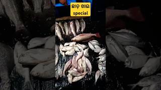 ଛାଡ଼ ଖାଇ Special#shrotsyt #ytshortsvideo #viralvideo