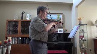 I Can't Help Falling In Love With You Violin Solo