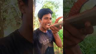 গোলাপ ফুলের কাটা আমার বন্ধু সাদা মাতা। গান। 🤣Bangla funny 😜entertainment