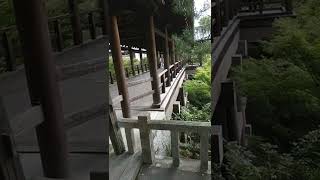 Tofukuji Temple   Tsutenkyo Bridge