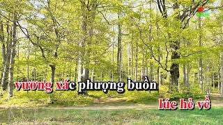 Karaoke  Vùng Lá Me Bay  Tone Nữ  Nhạc Sống