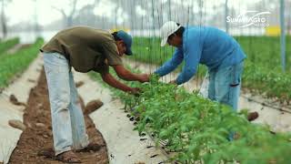 27 0 y2mate com   Video Corporativo Summit Agro México 10 años 05gobOqExUo 1080p