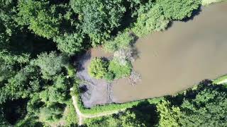 Forêt de Mormal - Etang David - Locquignol - Mastershot Drone DJI Air 2S