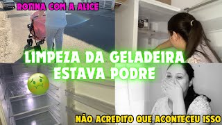 LIMPEZA DA GELADEIRA | NÃO ACREDITO QUE ACONTECEU ISSO NA GRAVAÇÃO 😳