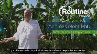 ¿Quieres conocer una herramienta innovadora para el control de Sigatoka negra? | Agro Bayer Colombia