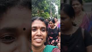 തിരുവാതിരക്കളി പ്രാക്ടീസ് ചെയ്യാൻ#minivlog #shorts #viralvideos |@kitchenupdatesbyjisha4606