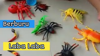 Berburu Laba Laba Raksasa | Elgaza Berburu Binatang