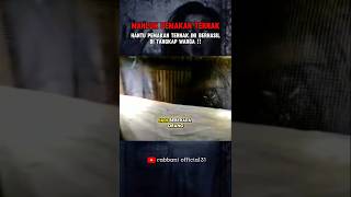 VIDEO VIRAL PENAMPAKAN HANTU BANYU #shortsviral #scarry #misteri