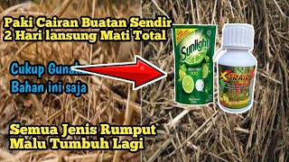 Racun Rumput Buatan Sendiri !! Cukup GUNAKAN BAHAN INI RUMPUT HANCUR MALU TUMBUH LAGI