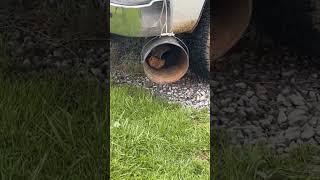 Custom exhaust tip #dodge #like #cummins #loud #shorts #truck #subscribe #fun #exhaust