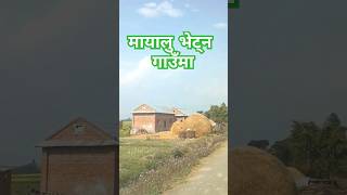 सहर -बजार नजीकका गाउँ ||Village||#shorts#youtubeshorts