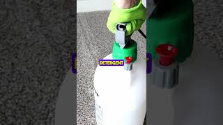 How To Clean Your Carpet Like a PRO #shorts #youtubeshorts #carpetcleaning