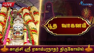 🔴LIVE  காஞ்சி ஸ்ரீ ஏகாம்பரேஸ்வரர் கோவில் பங்குனி பெருவிழா பூத வாகனம்  DAY - 3