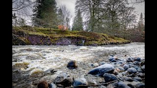 A Scottish Riverwalk, Cortachy near Kirriemuir