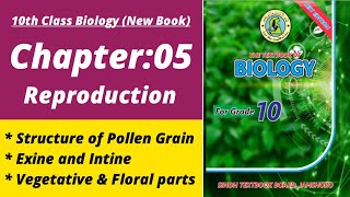 Structure of pollen grain | Biology class 10 chapter 5| Class 10 new biology book