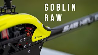 Goblin RAW - warmup | Pascal Richter