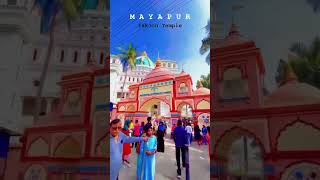 Mayapur iskcon🥰 #radheradhe #shorts#mayapurdham#iskcon#vrindavan #krishna#krishnalove#gopal #viral