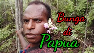 Perjalanan yang menyenangkan di Papua.