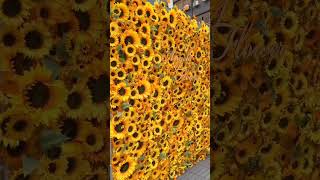 Painel de girassol 🌻 artificiais #decor #decoração