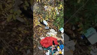 HOMELESS ENCAMPMENT = ENVIRONMENTAL DISASTER #shorts #urbex #homeless #trash #migrants #disgusting