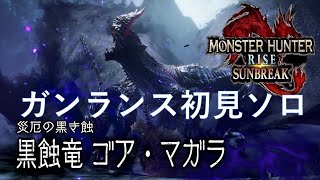 ゴアマガラ初見 ガンランスソロ　相変わらず強いわ　【モンハンサンブレイク】part11