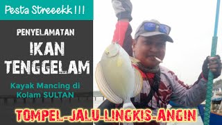 Penyelamatan Ikan Baronang Tenggelam, Kayak Mancing di Kolam SULTAN