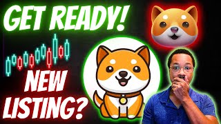 Baby Doge MAJOR LISTING Incoming? Prepare For The NEXT Flash CRASH