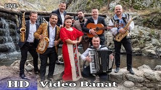 Nicoleta Sarbu & Formatia Calinut - Toata viata bage 4K 2020