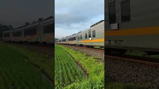 KA 56 GAJAYANA CC 2061371 || PETAK KEPANJEN PAKISAJI MALANG #kai #keretaapi #sepur #railway #rel