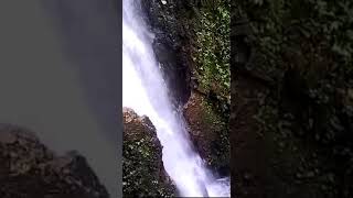 gemercik Curug Cibeureum desa Cisarua sukajaya Bogor barat #Shorts