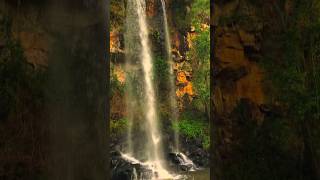 Cascada al final del sendero macuco en #misiones #cascadas #selva #naturaleza #viral