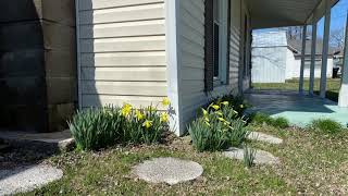 2 Bedroom 2 Bath In Mountain Grove, MO