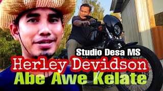 HERLEY DEVIDSON ABE DAUS