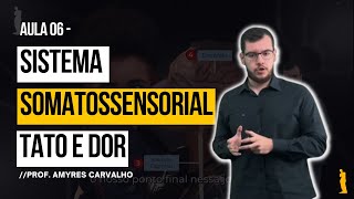 Sistema Nervoso -  Aula 06 - Sistema Somatossensorial