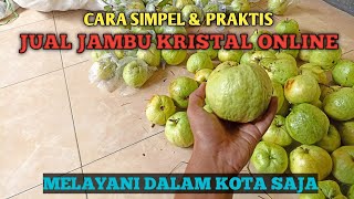 CARA SIMPEL & PRAKTIS JUAL JAMBU KRISTAL ONLINE