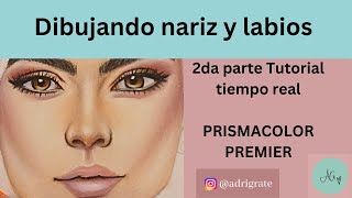 Dibujando la nariz y los labios/Principiantes-2da Parte Prismacolor Premier