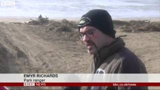 UK storms  Warning over sand dune 'cliffs' at Cefn Sidan