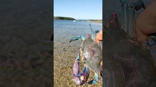 taxista na praia de Macapá Luis correria Piauí