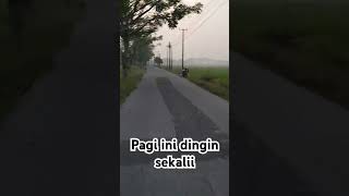 Pagi yang dingin berkabut.