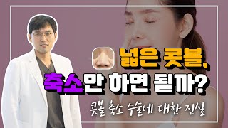 콧볼축소 개이득정보/ 콧볼도 콧볼 나름이라고요. (feat.이곳은 곧 콧볼러들의 성지가 될지어니)  alar reduction, alar base reduction