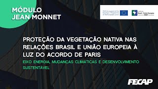 Proteção da Vegetação Nativa nas Relações Brasil e União Europeia à luz do Acordo de Paris