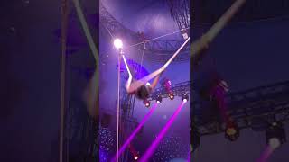 Mind blowing performance at the circus