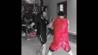 Sanda Training - kickboxing training