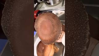 Super huge shiitake mushroom【超巨大なしいたき】#mashroom #しいたけ #shorts