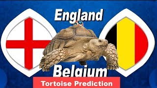 BELGIUM vs ENGLAND Prediction | The Tortoise Eat Tomato Prediction Third Place Play-off World Cup