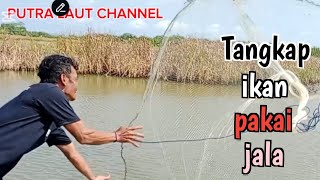 Tangkap ikan pakai jala di sawah