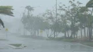 Heavy rain fall live in pali rajashthan | #heavyrain #rain #rainfall #live