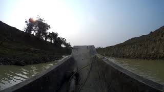 Ratargul Swamp forest short Time-lapse video